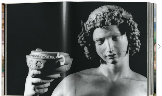 Michelangelo The Complete Works 1975- TODAY