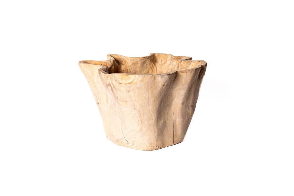 Bowl Madera Raiz
