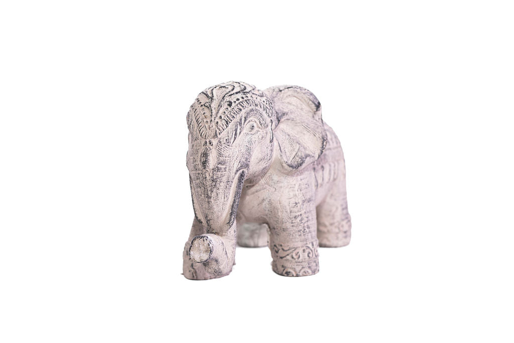 Elefante