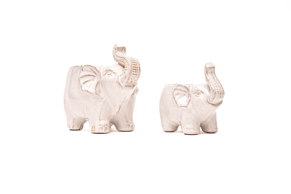 Maceta Elefante Beige