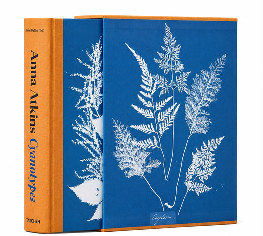 Anna Atkins Cyanotypes