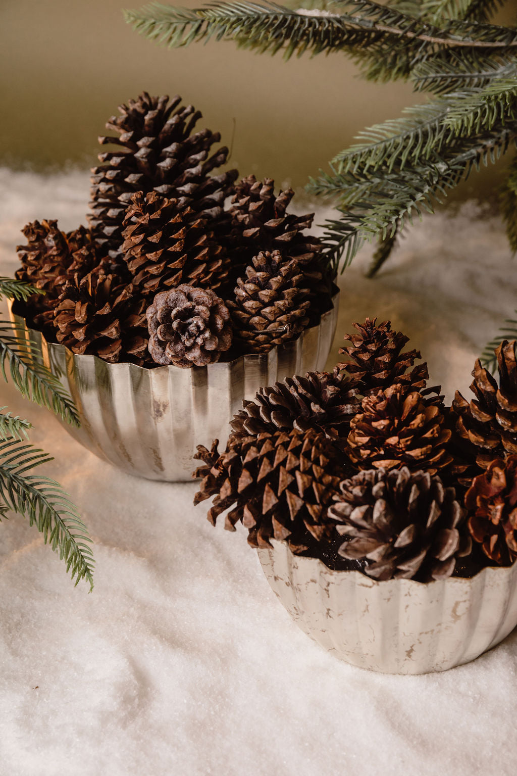 Bowl Plateado Plisado