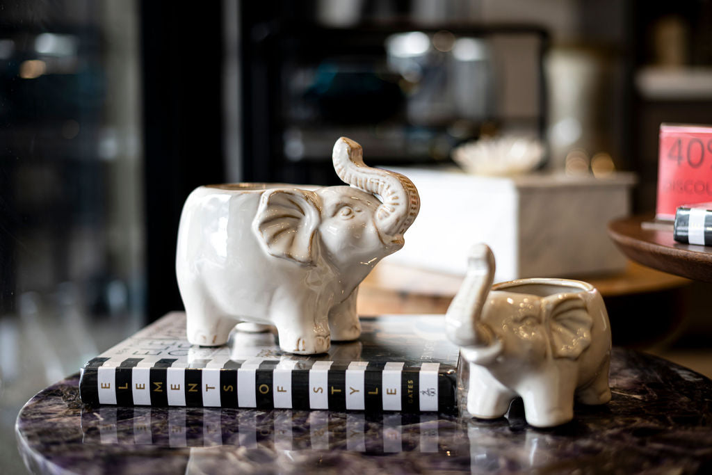 Maceta Elefante Beige