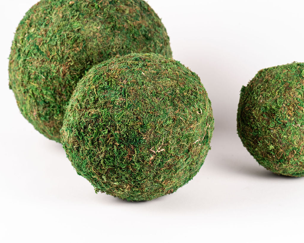 Bola Musgo