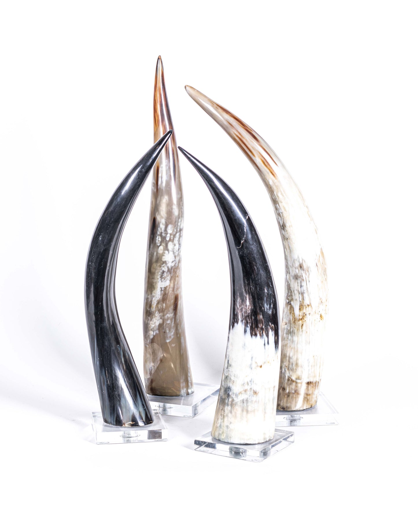 Cuerno en Base de Acrilico