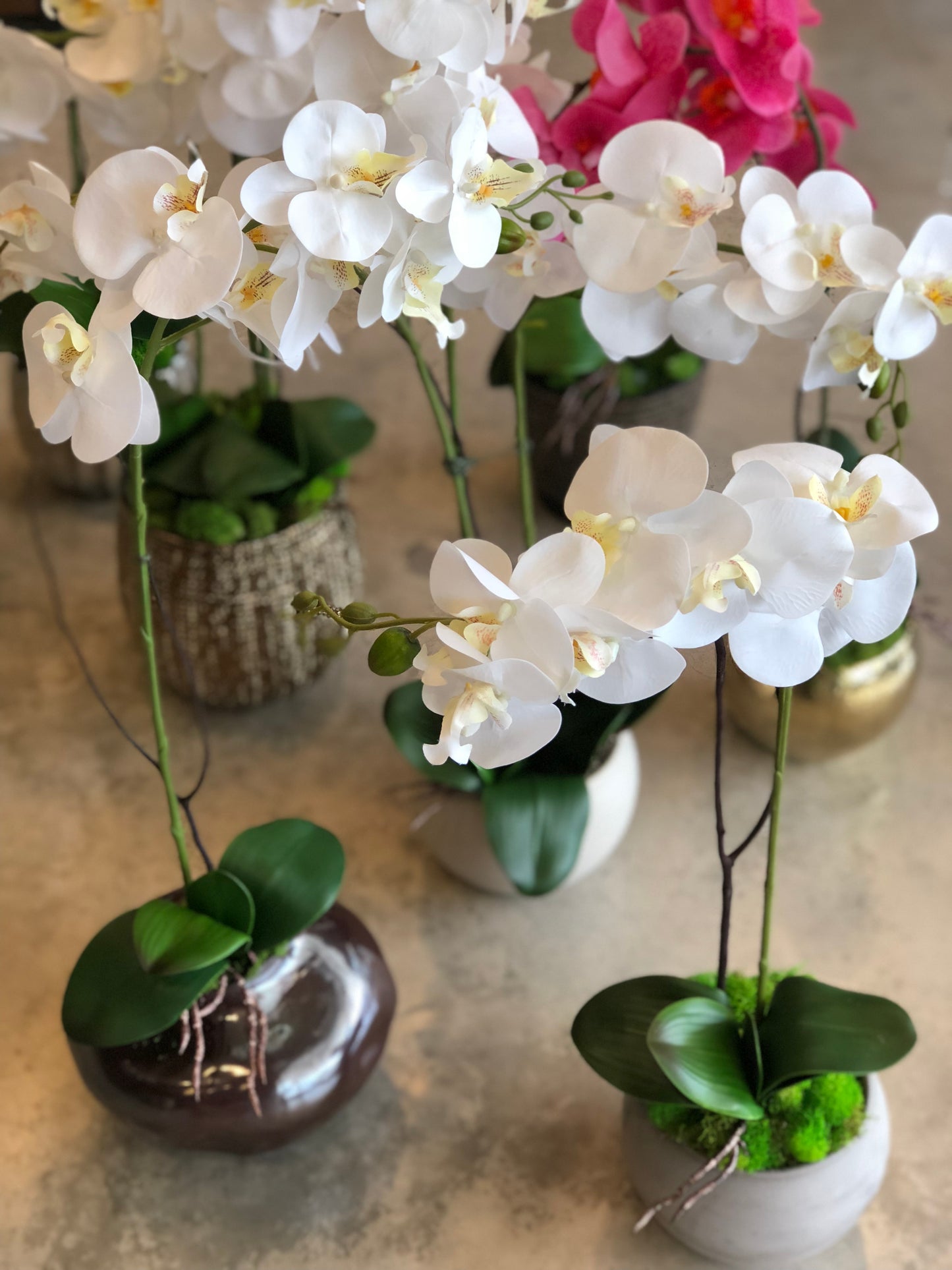 Orquidea Tallo Individual