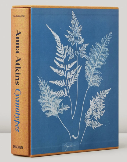Anna Atkins Cyanotypes