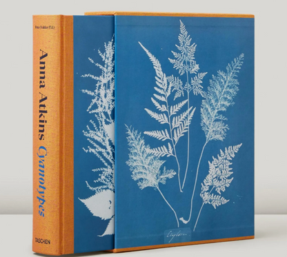 Anna Atkins Cyanotypes
