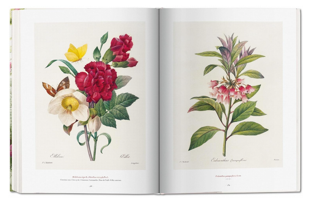 Redoute: The Book of Flowers