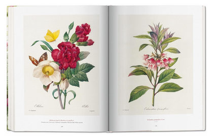 Redoute: The Book of Flowers