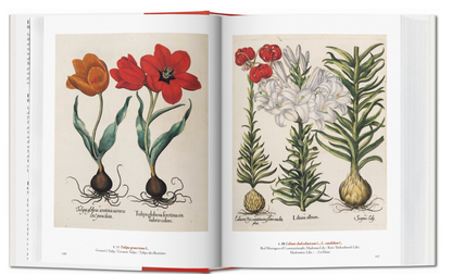 A Garden Eden Masterpieces Of Botanical Illustration