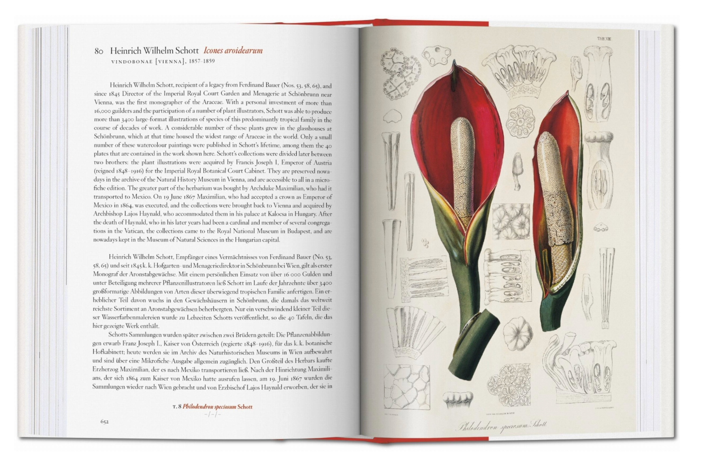 A Garden Eden Masterpieces Of Botanical Illustration