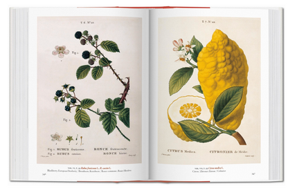 A Garden Eden Masterpieces Of Botanical Illustration