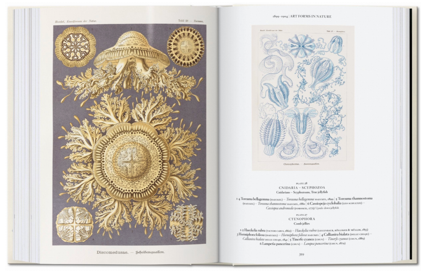 The Art and Science of Ernst Haeckel