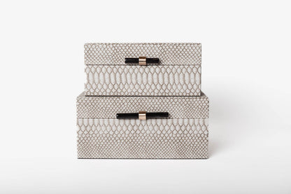 Caja Vibora con Negro