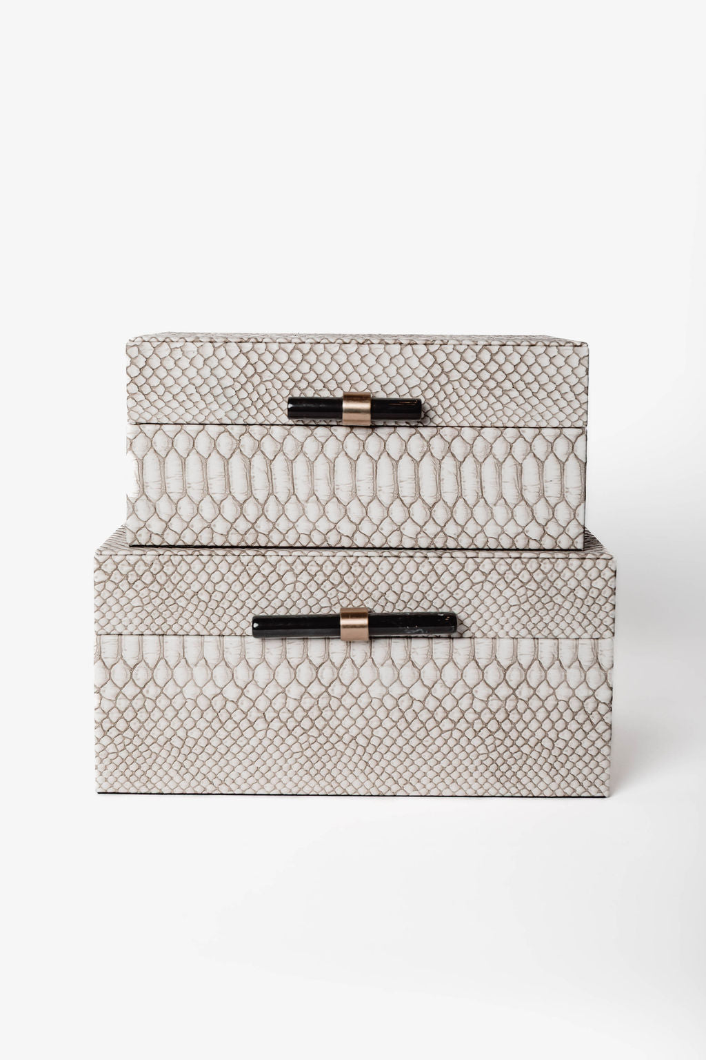 Caja Vibora con Negro