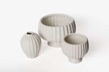 Florerito Beige Lineas