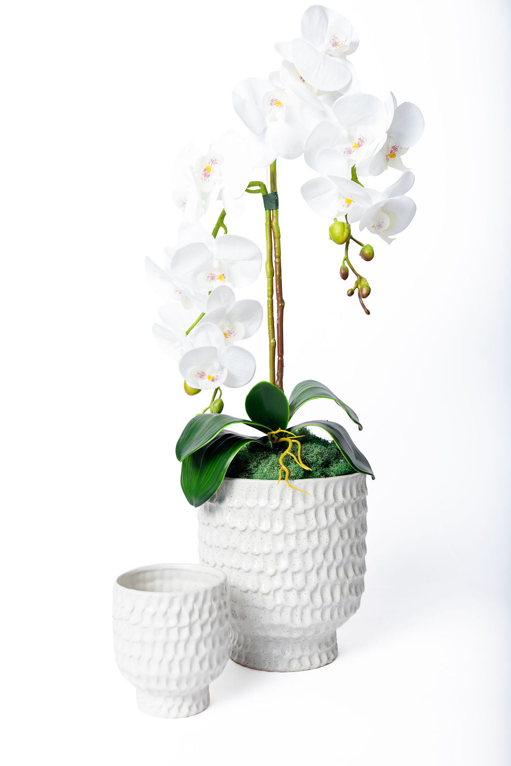 Maceta Coral Blanca