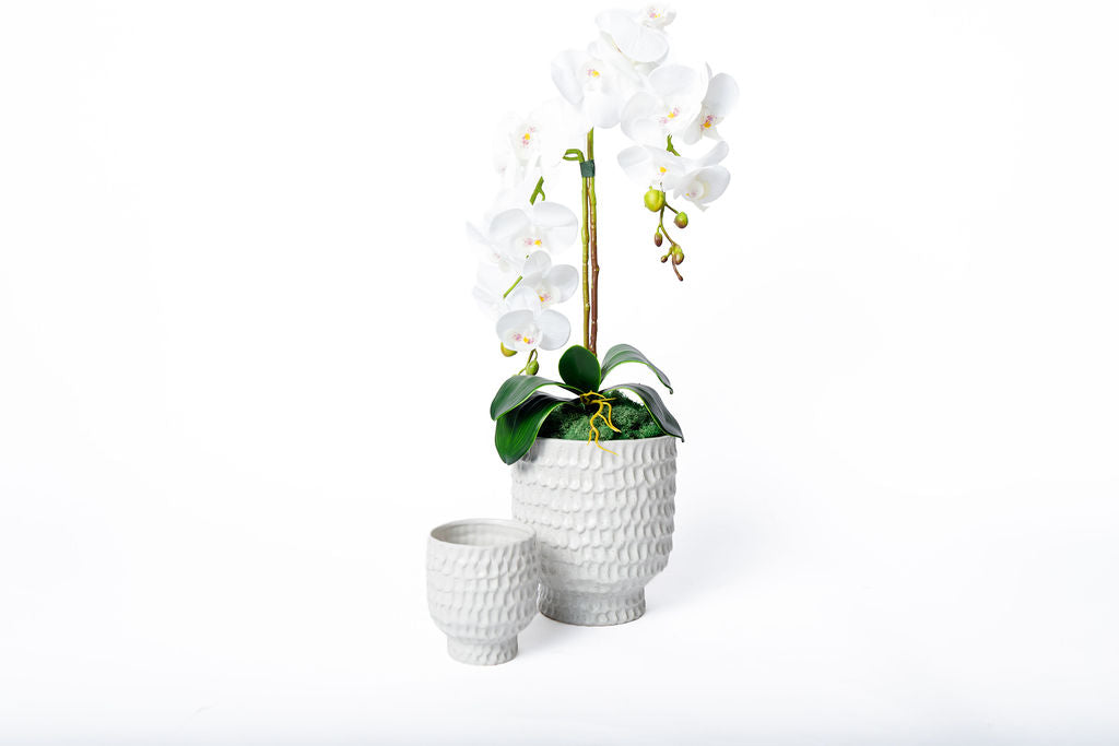 Maceta Coral Blanca