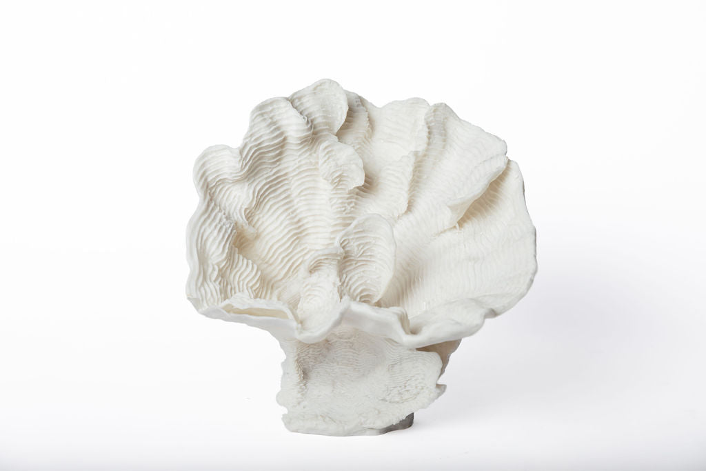 Coral Grande