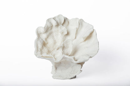 Coral Grande