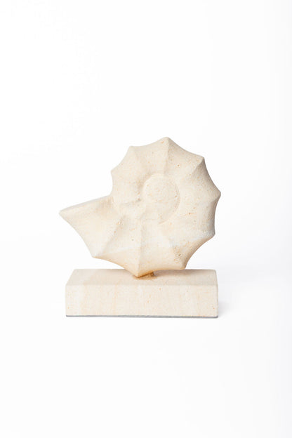 Caracol Arena en Base