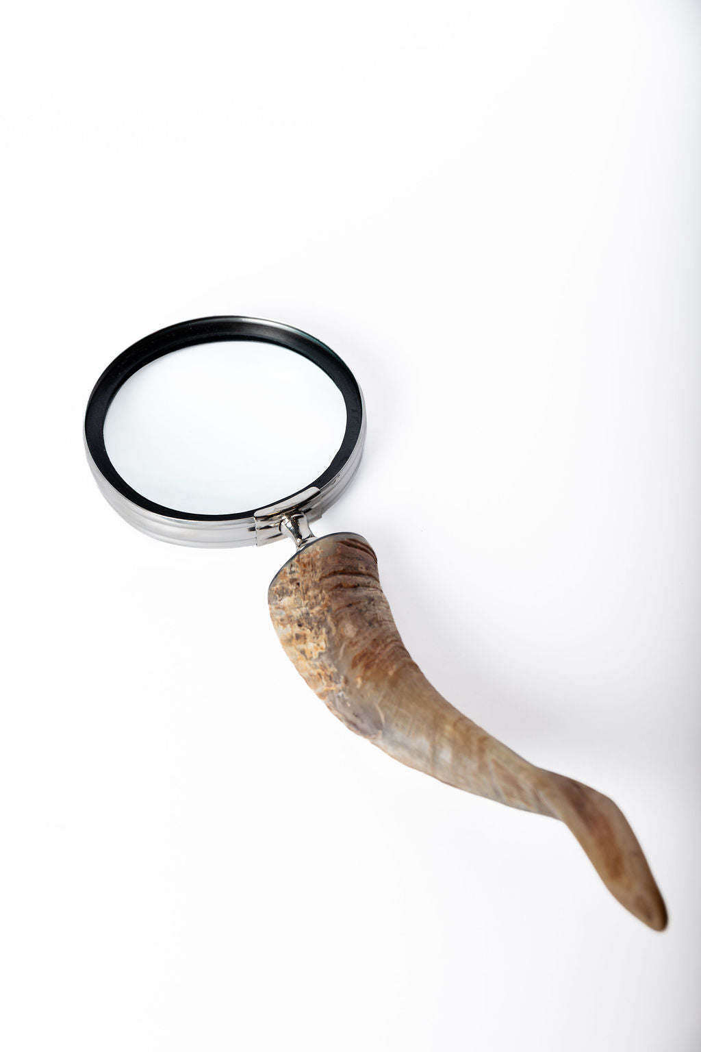 Lupa Cuerno Grande Beige