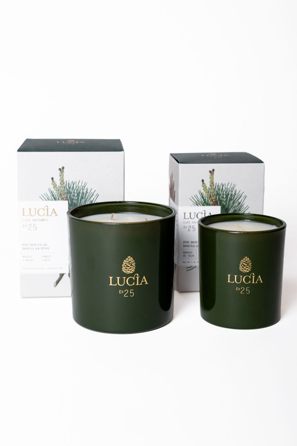 Lucia Navidad Vela Pino