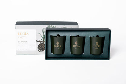 Lucia Navidad Vela Pino