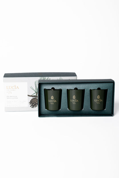 Lucia Navidad Vela Pino