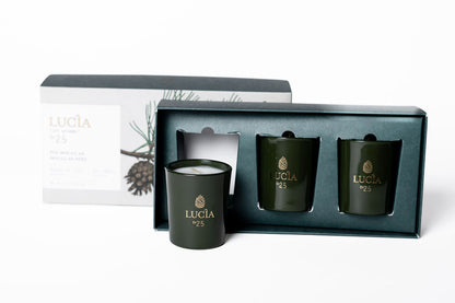 Lucia Navidad Vela Pino