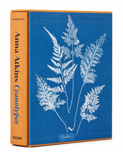 Anna Atkins Cyanotypes