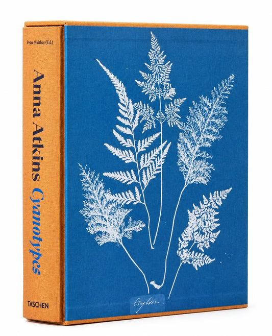Anna Atkins Cyanotypes