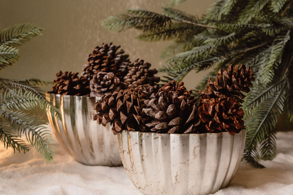 Bowl Plateado Plisado