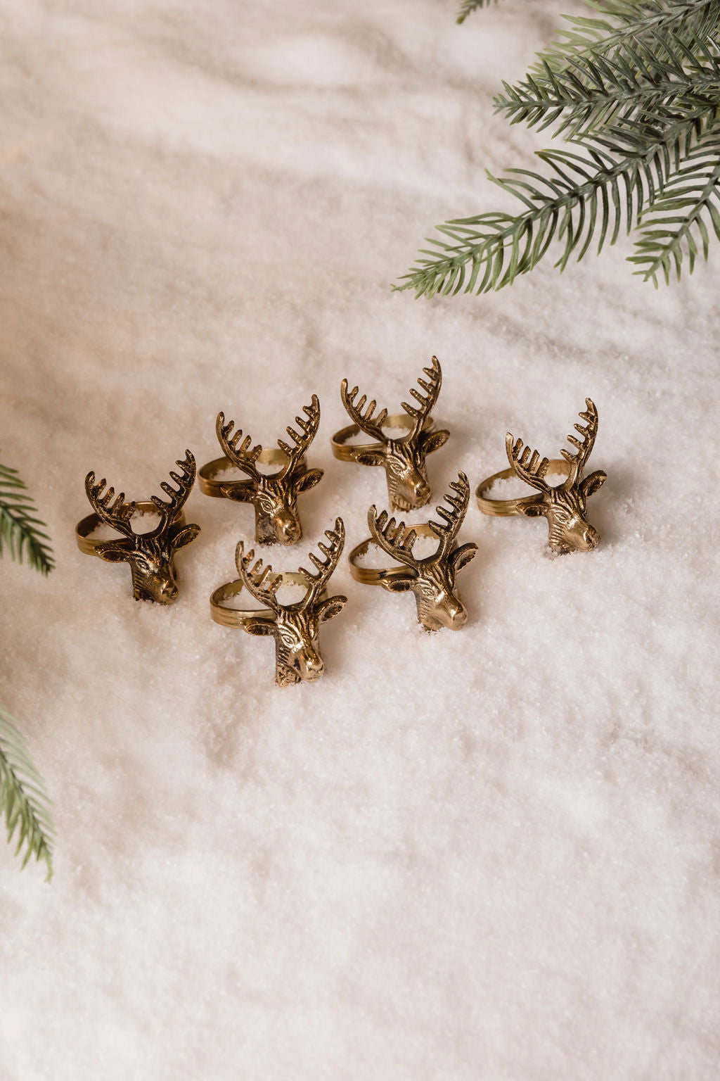 Anillos Venado (Set 6)